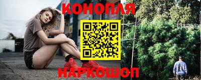 крисы Лесосибирск