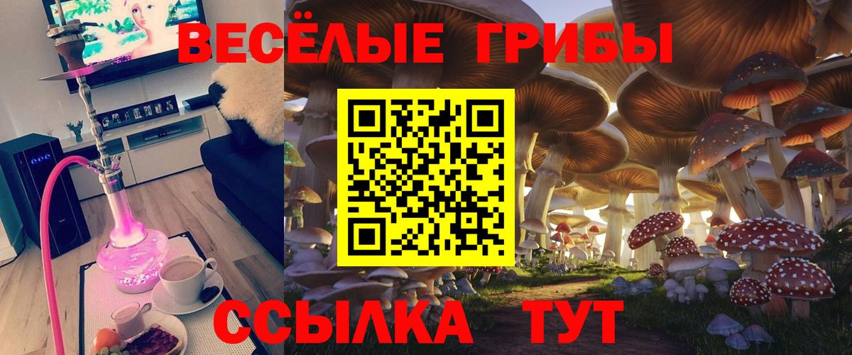 Псилоцибиновые грибы MAGIC MUSHROOMS  Вход с VPN  Хабаровск 